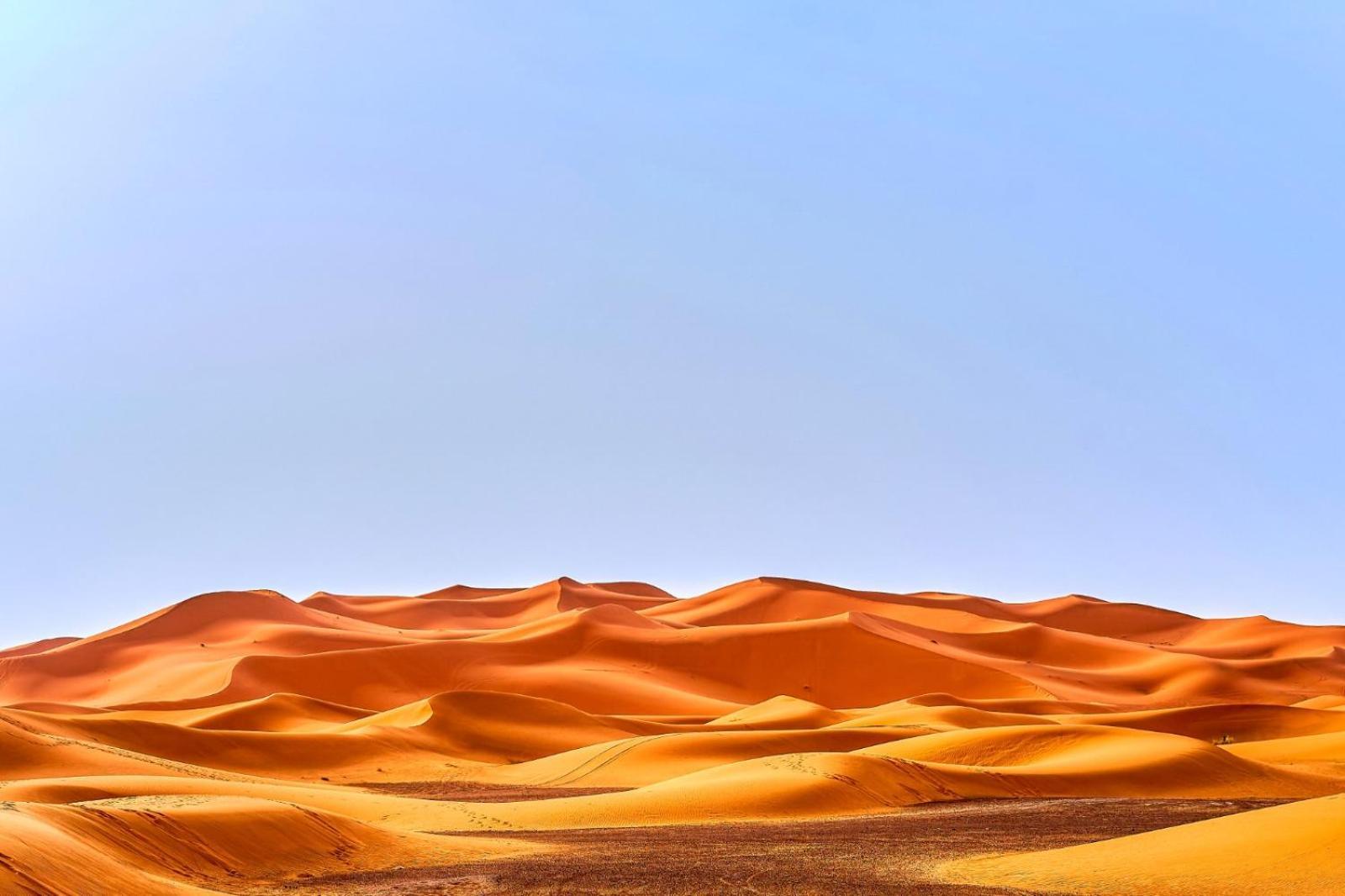 Young Luxury Camp Merzouga Zewnętrze zdjęcie